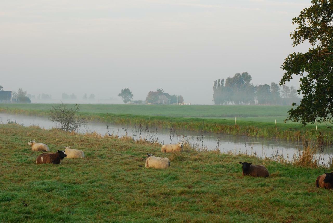 Dobberhuisje Nieuwkoop Buitenkant foto